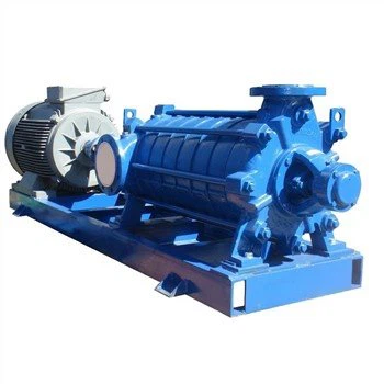 Caidéal Beatha Coirí